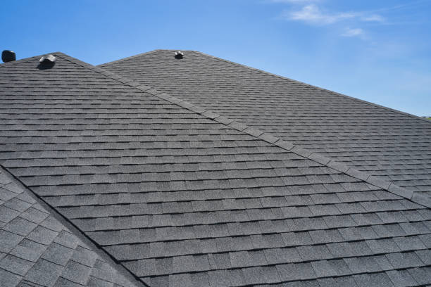 Best Skylight Installation and Repair  in Centerville, MN